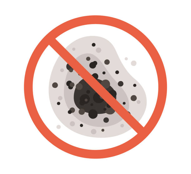 Best Mold Documentation for Insurance Claims  in Marco Island, FL
