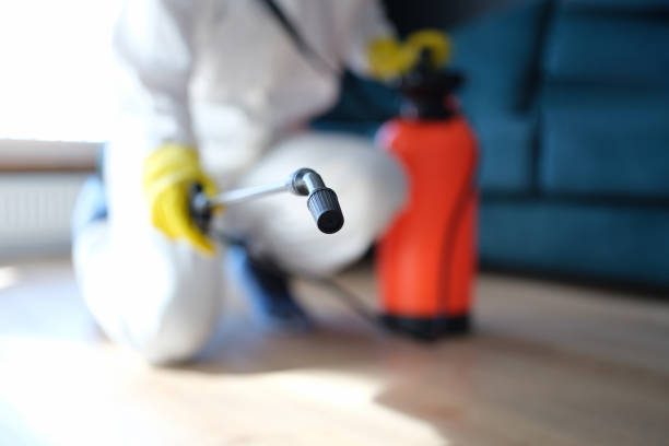 Best Emergency Mold Remediation  in Marco Island, FL