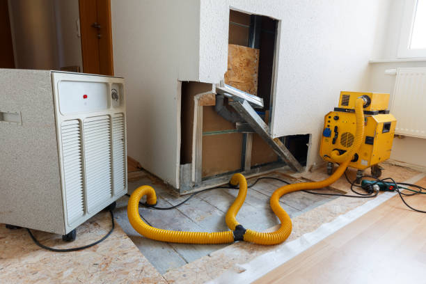 Best Black Mold Removal  in Marco Island, FL