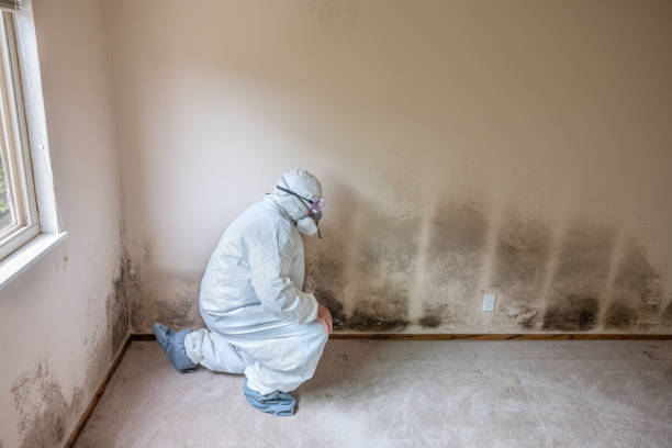 Best Forensic Mold Investigation  in Marco Island, FL